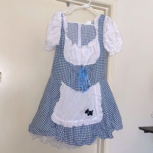 Dorothy-Wizard Of Oz- Costume